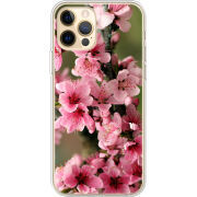 Чехол BoxFace Apple iPhone 12 Pro Max Вишневые Цветы