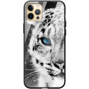 Защитный чехол BoxFace Glossy Panel Apple iPhone 12 Pro Max 