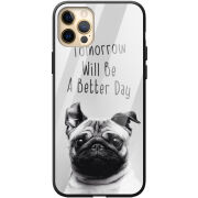 Защитный чехол BoxFace Glossy Panel Apple iPhone 12 Pro Max 