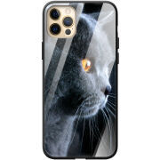 Защитный чехол BoxFace Glossy Panel Apple iPhone 12 Pro Max 
