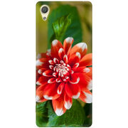 Чехол Uprint Sony Xperia X Performance Dual 