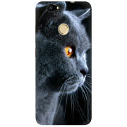 Чехол Uprint Huawei Nova English cat
