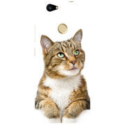 Чехол Uprint Huawei Nova 