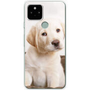 Чехол Uprint Google Pixel 5 Puppy Labrador