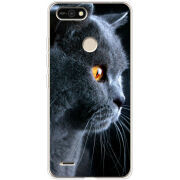 Чехол BoxFace Tecno POP 2F English cat