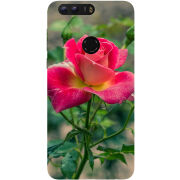 Чехол Uprint Huawei Honor 8 