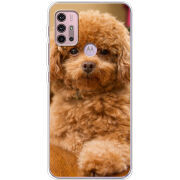 Чехол BoxFace Motorola G10 