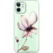 Чашка тест Magnolia