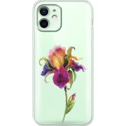 Чашка тест Iris