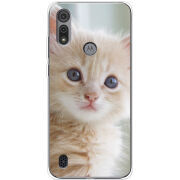 Чехол BoxFace Motorola E6S Animation Kittens