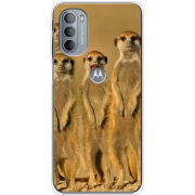 Чехол BoxFace Motorola G31 