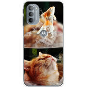 Чехол BoxFace Motorola G31 