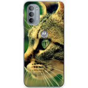 Чехол BoxFace Motorola G31 
