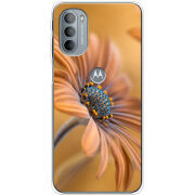 Чехол BoxFace Motorola G31 