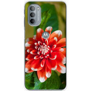 Чехол BoxFace Motorola G31 