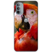 Чехол BoxFace Motorola G31 