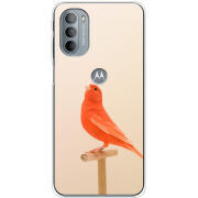 Чехол BoxFace Motorola G31 