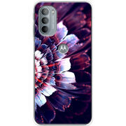 Чехол BoxFace Motorola G31 