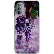 Чехол BoxFace Motorola G31 