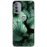 Чехол BoxFace Motorola G31 