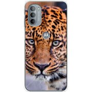 Чехол BoxFace Motorola G31 