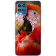 Чехол BoxFace Motorola G100 