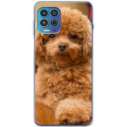 Чехол BoxFace Motorola G100 