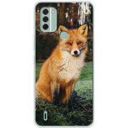 Чехол BoxFace Nokia C31 
