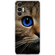 Чехол BoxFace Tecno POVA 3 Cat's Eye