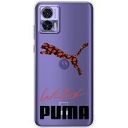 Прозрачный чехол BoxFace Motorola Edge 30 Neo Wild Cat