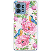 Чехол BoxFace Motorola Edge 40 Pro Birds and Flowers