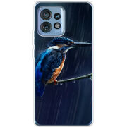 Чехол BoxFace Motorola Edge 40 Pro 