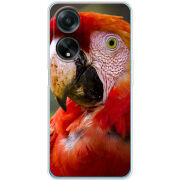 Чехол BoxFace OPPO A98 5G 