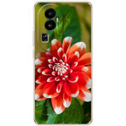 Чехол BoxFace OPPO Reno 10 (China) 