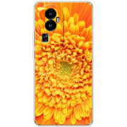 Чехол BoxFace OPPO Reno 10 (China) 