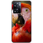 Чехол BoxFace OnePlus Nord N20 SE 