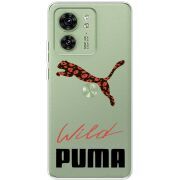 Прозрачный чехол BoxFace Motorola Edge 40 Wild Cat