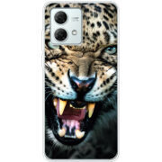 Чехол BoxFace Motorola G84 