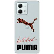Прозрачный чехол BoxFace Motorola G84 Wild Cat