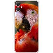 Чехол BoxFace Samsung Galaxy A05 (A055) 