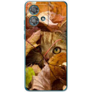 Чехол BoxFace Motorola Edge 40 Neo 