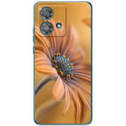 Чехол BoxFace Motorola Edge 40 Neo 