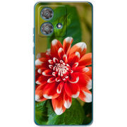 Чехол BoxFace Motorola Edge 40 Neo 