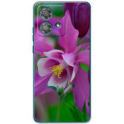 Чехол BoxFace Motorola Edge 40 Neo 