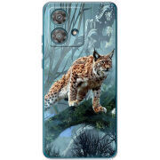 Чехол BoxFace Motorola Edge 40 Neo 