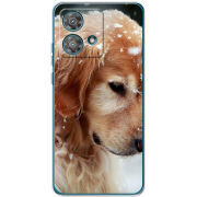 Чехол BoxFace Motorola Edge 40 Neo Golden Retriever