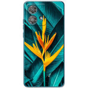 Чехол BoxFace Motorola Edge 40 Neo 