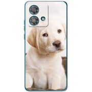 Чехол BoxFace Motorola Edge 40 Neo Puppy Labrador