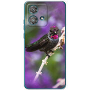 Чехол BoxFace Motorola Edge 40 Neo 