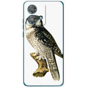 Чехол BoxFace Motorola Edge 40 Neo 